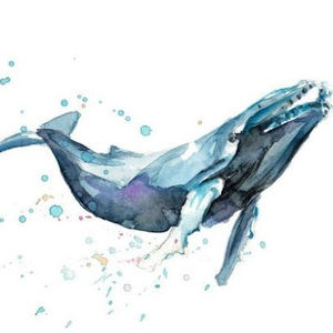 Meet your Posher, Forrest